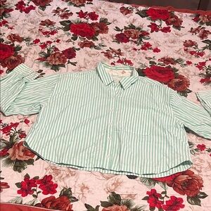American Eagle Outfitters Mint Striped Kids Button Down Shirt